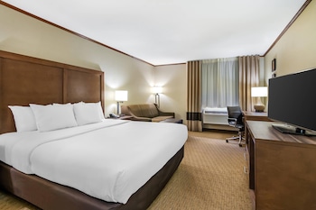 Standard Room, 1 King Bed, Non Smoking