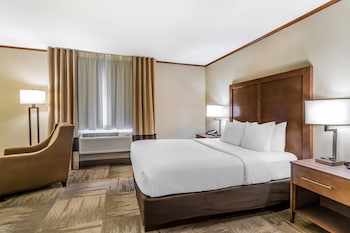 Room, 1 Queen Bed, Non Smoking