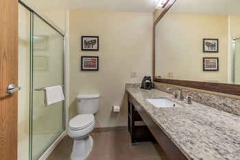 Suite, 1 King Bed with Sofa bed, Accessible, Non Smoking