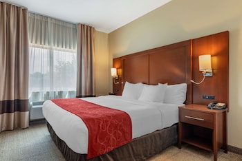 Suite, 1 King Bed with Sofa bed, Accessible, Non Smoking