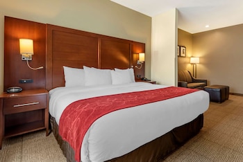 Suite, 1 King Bed with Sofa bed, Accessible, Non Smoking
