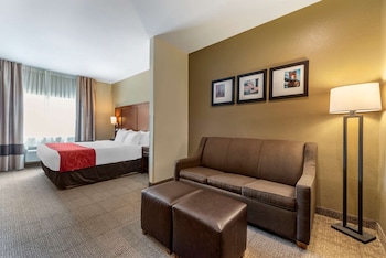 Suite, 1 King Bed with Sofa bed, Accessible, Non Smoking