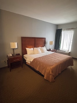 Standard Room, 1 King Bed, Non Smoking
