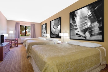 Room, Multiple Beds