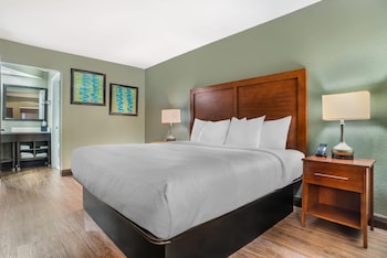 Suite, 1 King Bed with Sofa bed