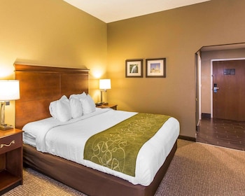 Room, 1 King Bed, Accessible, Non Smoking
