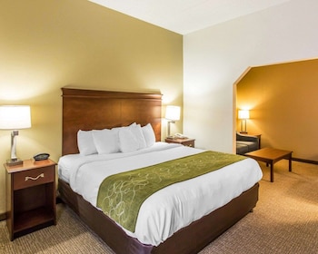 Suite, 1 King Bed with Sofa bed, Non Smoking