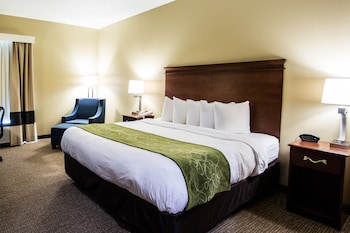 Room, 1 King Bed, Non Smoking