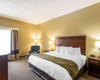 Room, 1 King Bed, Non Smoking