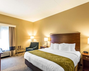 Room, 1 King Bed, Accessible, Non Smoking