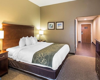 Room, 1 King Bed, Non Smoking