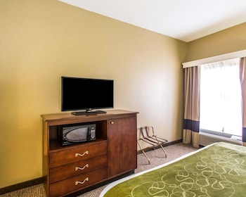 Suite, 1 King Bed with Sofa bed, Non Smoking