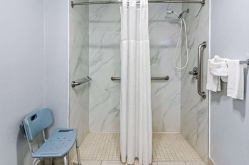 Room, 1 King Bed, Accessible, Non Smoking (Mobility/Hearing, Roll-In Shower)