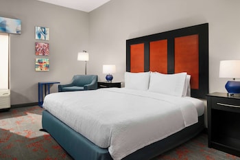 Room, 1 King Bed, Accessible, Non Smoking