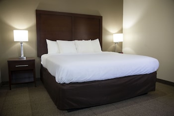 Basic Room, 1 King Bed, Roll-in Shower, Non Smoking