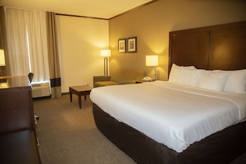 Suite, 1 King Bed with Sofa bed, Non Smoking