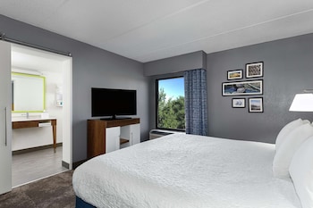 Suite, 1 King Bed with Sofa bed, Accessible (Hearing Impaired with Sofa and Shower)