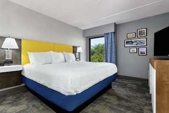 Suite, 1 King Bed with Sofa bed (With Shower)