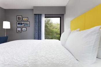 Suite, 1 King Bed with Sofa bed, Accessible (Hearing Impaired with Sofa and Shower)