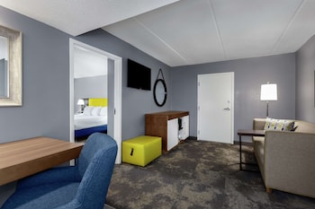Suite, 1 King Bed with Sofa bed, Accessible (Hearing Impaired with Sofa and Shower)