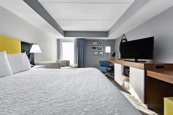 Room, 1 King Bed with Sofa bed, Accessible (Hearing Impaired with Shower)