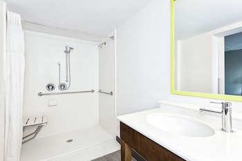 Room, 1 King Bed, Accessible (With Roll In Shower and Chair)