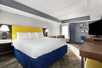 Room, 1 King Bed with Sofa bed, Accessible (Hearing Impaired with Shower)
