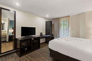 Room, 1 Queen Bed, Accessible, Non Smoking