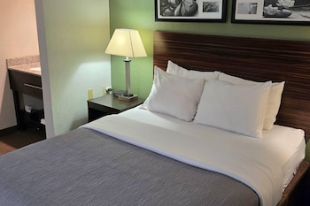 Standard Room, 1 Queen Bed, Non Smoking