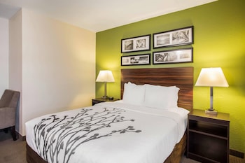 Room, 1 Queen Bed, Accessible, Non Smoking