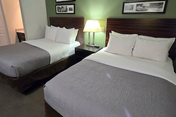 Standard Double Room, 2 Double Beds, Non Smoking