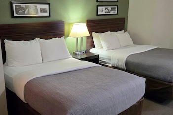 Standard Double Room, 2 Double Beds, Non Smoking
