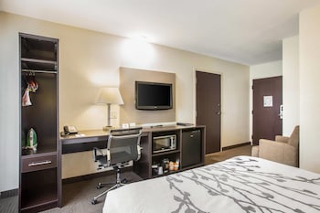 Standard Double Room, 2 Double Beds, Non Smoking