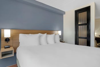 Room, 1 King Bed with Sofa bed (High Floor)