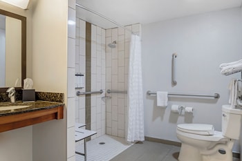 Room, 1 King Bed with Sofa bed, Roll-in Shower (Shower)