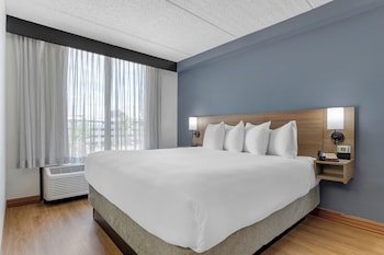 Room, 1 King Bed with Sofa bed (High Floor)