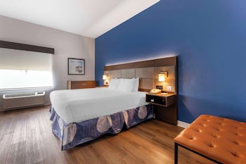 Standard Room, 1 King Bed, Non Smoking, Refrigerator & Microwave (Larger Room;with Sofabed)