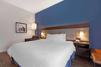 Standard Room, 1 King Bed, Accessible, Refrigerator & Microwave