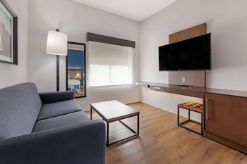 Standard Room, 1 King Bed, Non Smoking, Refrigerator & Microwave (Larger Room;with Sofabed)