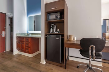 Standard Room, 1 King Bed, Non Smoking, Refrigerator & Microwave (Larger Room;with Sofabed)