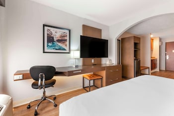 Standard Room, 1 King Bed, Non Smoking, Refrigerator & Microwave (with Sofabed)