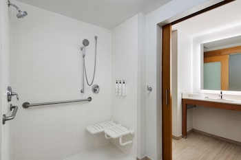 Studio Suite, 1 King Bed with Sofa bed (Mobility Accessible, Roll-In Shower)