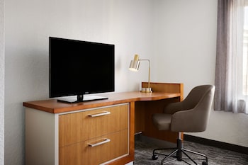 Studio Suite, 1 King Bed with Sofa bed (Mobility Accessible, Roll-In Shower)