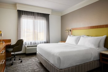 Studio Suite, 1 King Bed with Sofa bed (Mobility Accessible, Roll-In Shower)