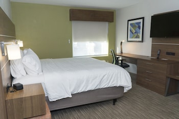 Room, 1 King Bed, Accessible (Communications, Roll-In Shower)