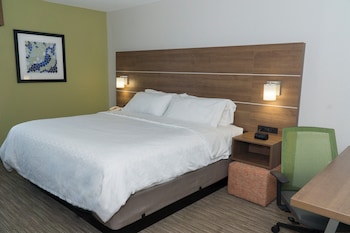 Suite, 1 King Bed