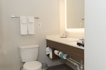 Suite, 1 King Bed with Sofa bed