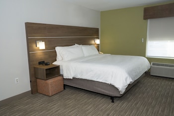 Room, 1 King Bed, Accessible (Communications, Roll-In Shower)