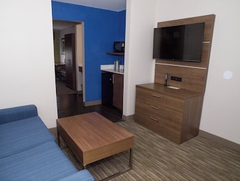 Suite, 1 King Bed with Sofa bed