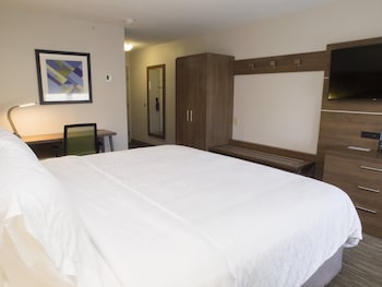 Room, 1 King Bed, Accessible (Communications, Roll-In Shower)